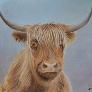 Cows head