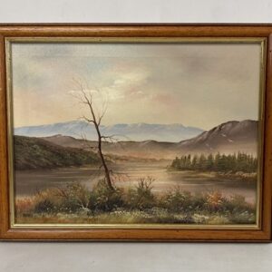 lake and mountain scenery
