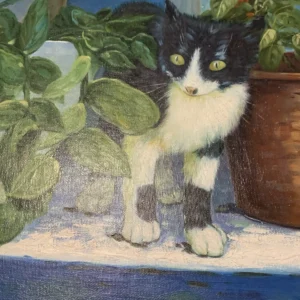 Kitten On The Window Sill