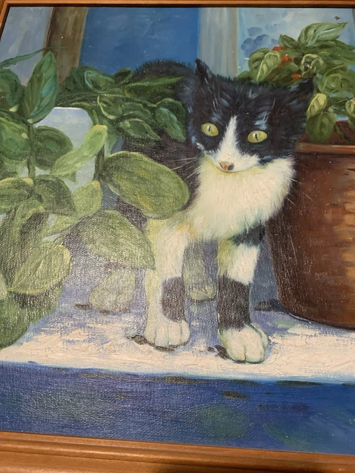 Kitten On The Window Sill