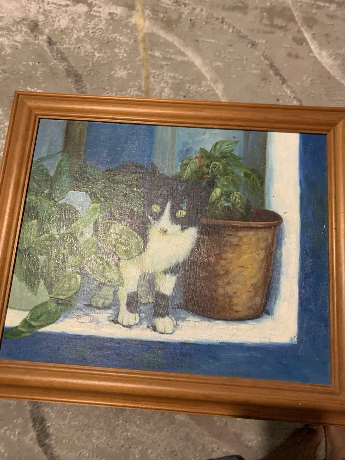 Kitten On The Window Sill - Image 3