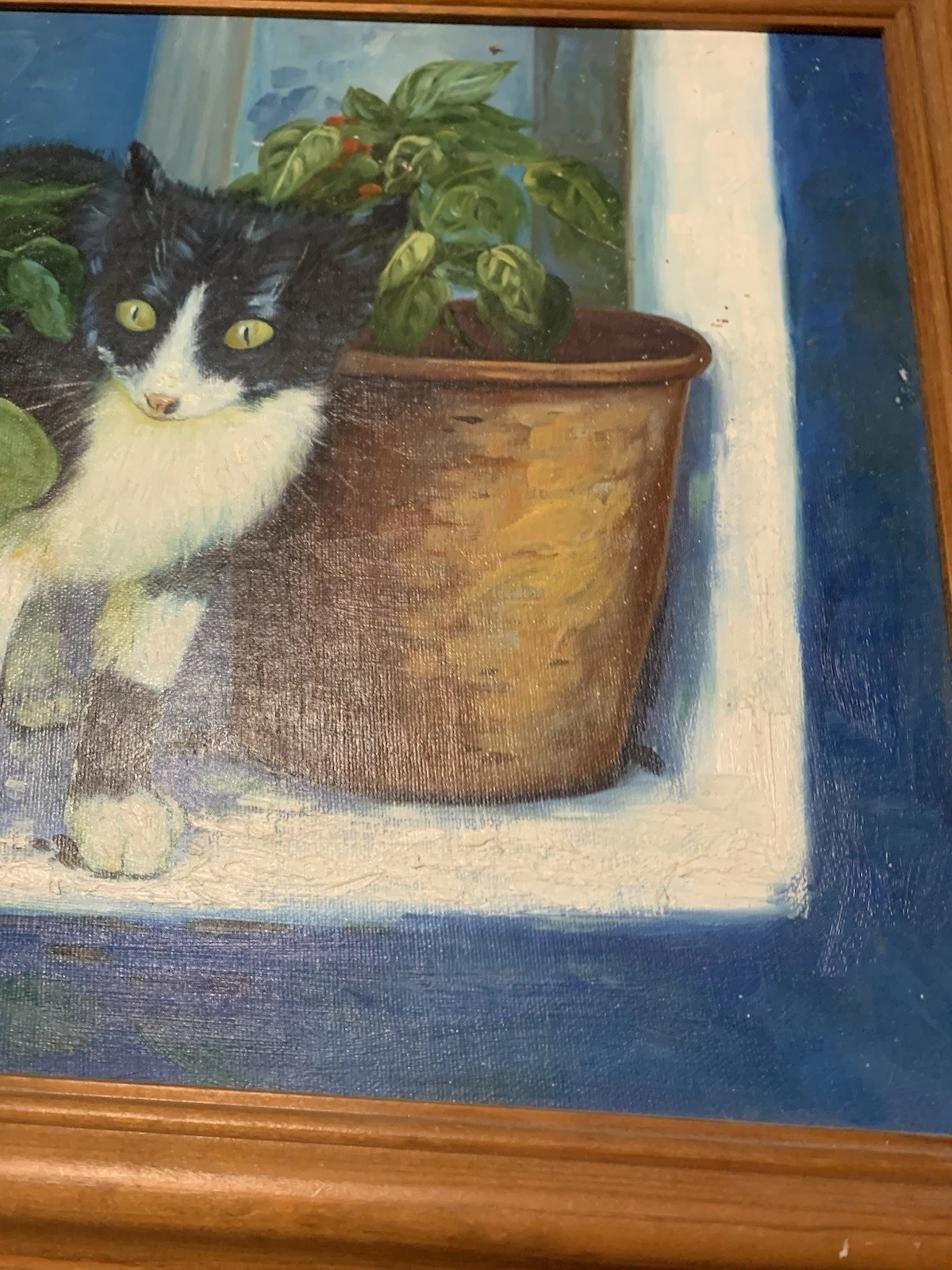 Kitten On The Window Sill - Image 5